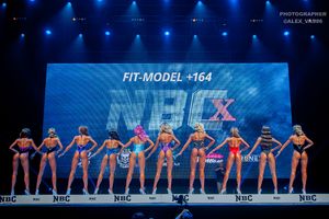 FIT-MODEL +164- 1 раунд